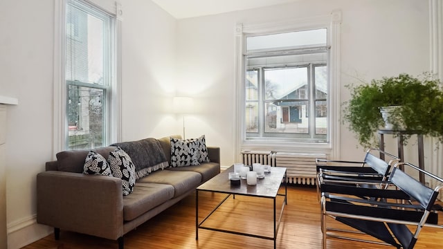 living room with wood finished floors