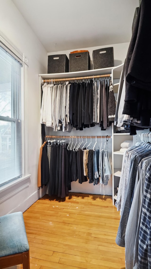 walk in closet featuring wood finished floors