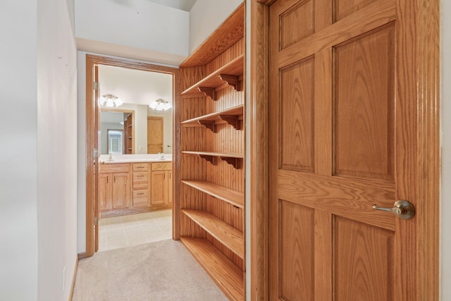 spacious closet featuring a sink and light colored carpet