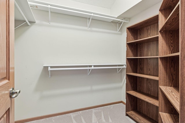 spacious closet with carpet flooring