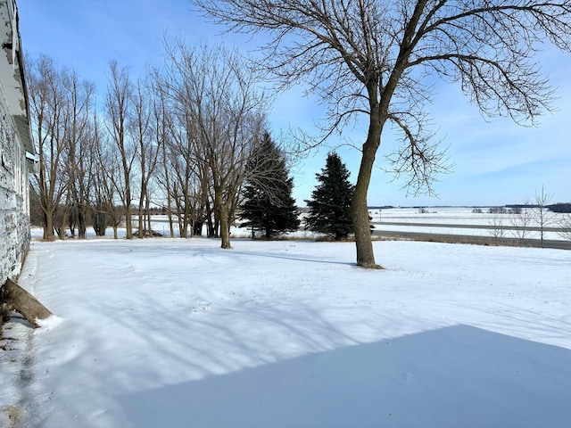 view of yard layered in snow
