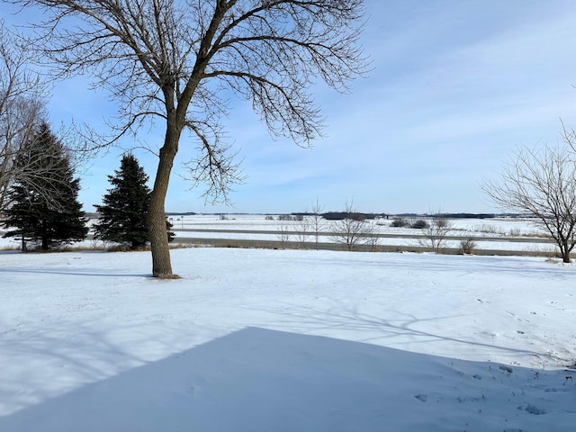 view of yard layered in snow