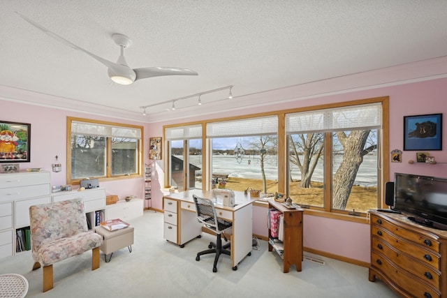 office with a textured ceiling, ornamental molding, and light colored carpet