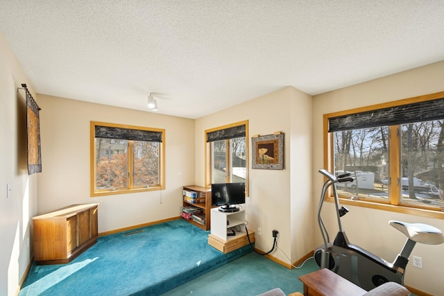 workout room with carpet floors, a wealth of natural light, a textured ceiling, and baseboards