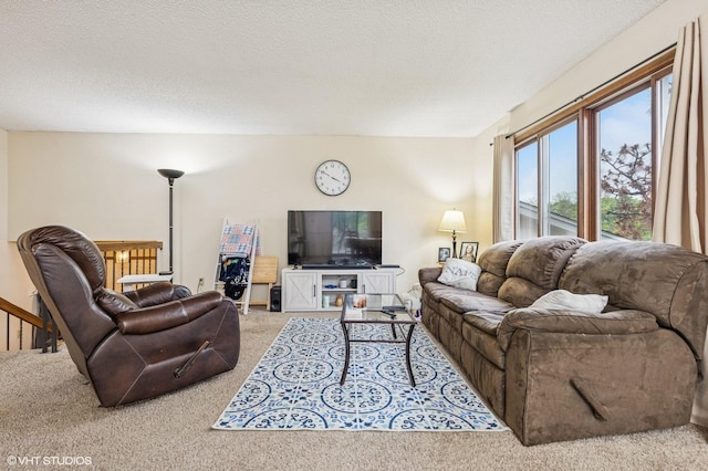 2528 Birchview Ln, Minnetonka, MN 55305 - living room with carpet flooring