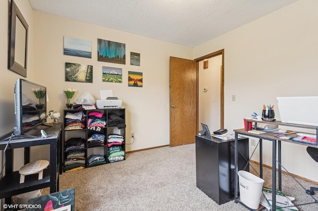 2528 Birchview Ln, Minnetonka, MN 55305 - home office featuring carpet flooring, a textured ceiling, and baseboards