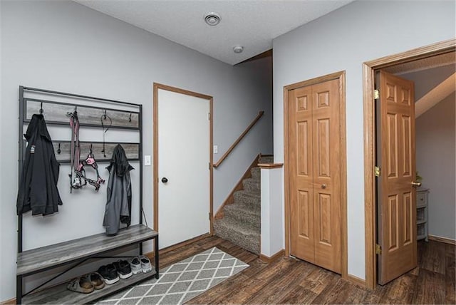 mudroom featuring dark wood-type flooring