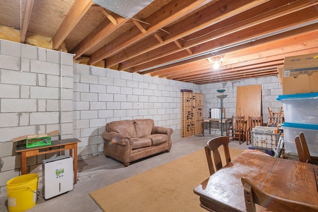 view of unfinished basement