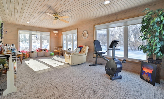 exercise room with carpet flooring, wood ceiling, and a healthy amount of sunlight