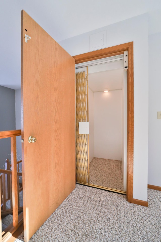 interior space with carpet and a closet