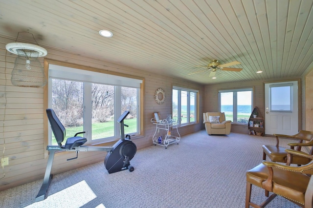 7968 Tournament Trl, Onamia, MN 56359 - interior space with wooden walls, recessed lighting, wooden ceiling, and carpet