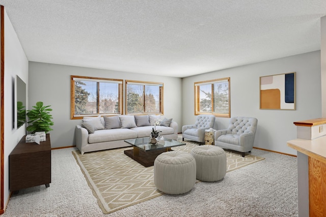 carpeted living area with baseboards and a textured ceiling