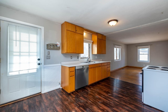 kitchen featuring white electric stove, dishwasher, sink, and dark hardwood / wood-style floors