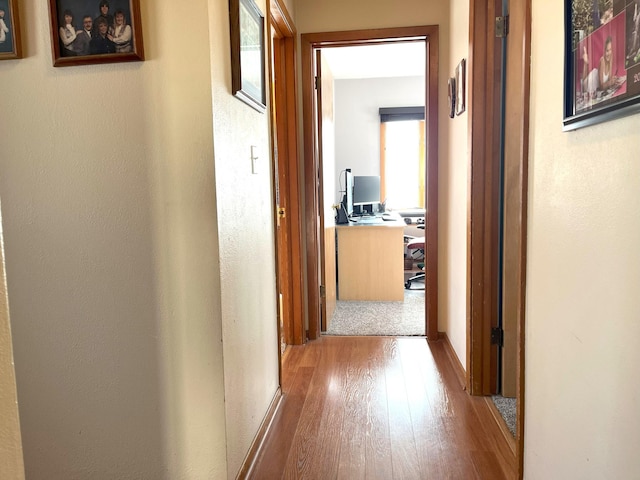 hall featuring wood-type flooring