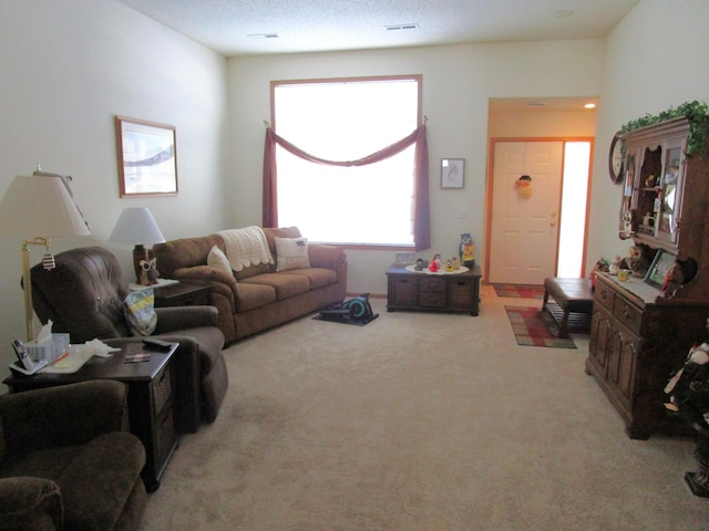 carpeted living room with a textured ceiling