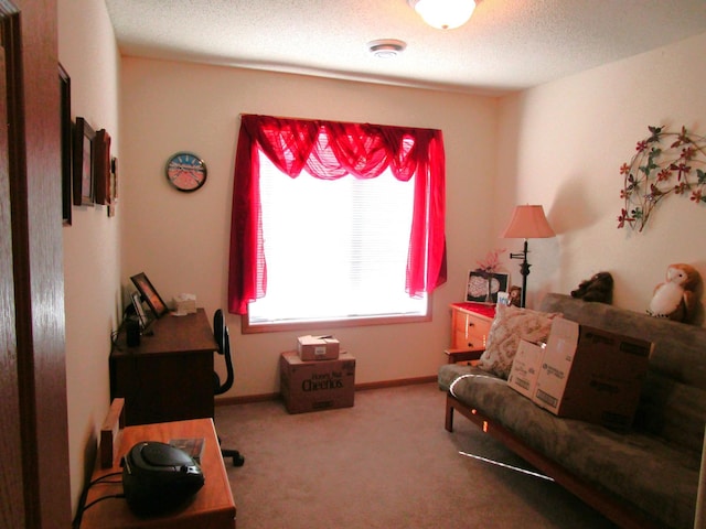 carpeted living room with a textured ceiling