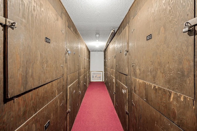 hall featuring carpet and a textured ceiling