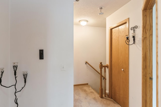 2752 Autumnwood Ln, Minnetonka, MN 55305 - hallway featuring an upstairs landing, light colored carpet, and a textured ceiling