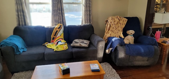 living room with wood finished floors