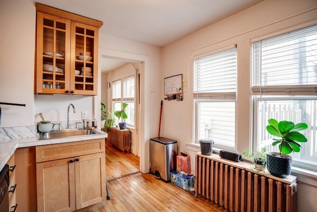 kitchen with light wood-type flooring, a sink, radiator heating unit, light countertops, and glass insert cabinets