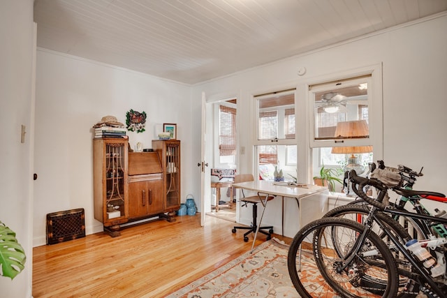 interior space with light wood-type flooring and plenty of natural light