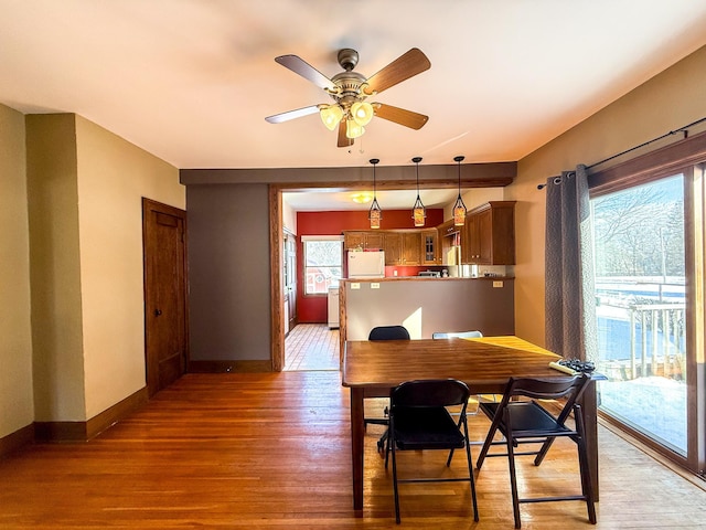 dining room with baseboards, light wood-style floors, and ceiling fan