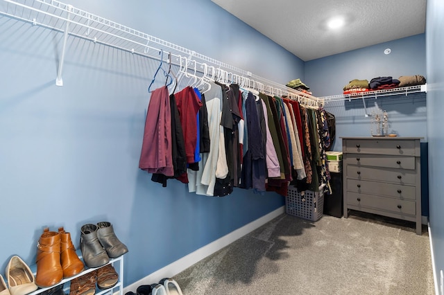 walk in closet featuring carpet floors