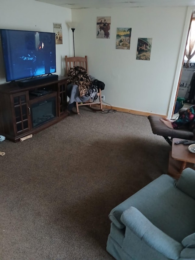 living room with carpet