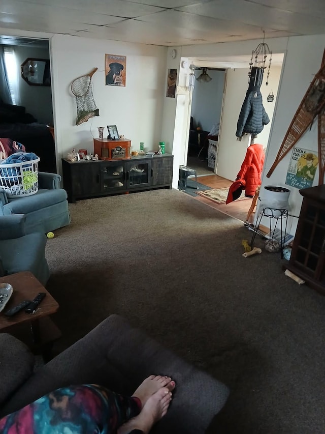 view of carpeted living area