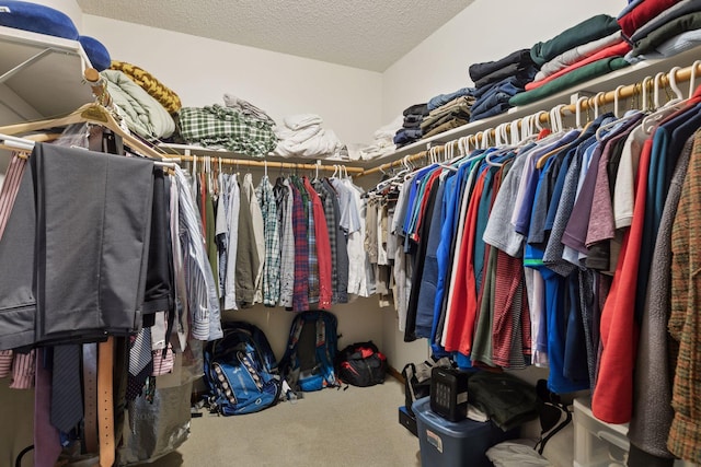 spacious closet with carpet