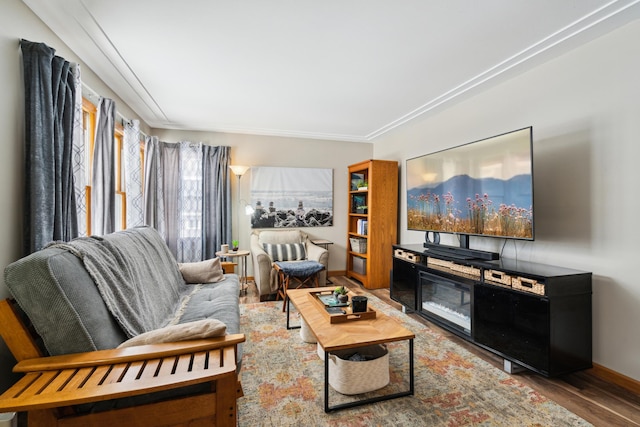 living room with hardwood / wood-style floors