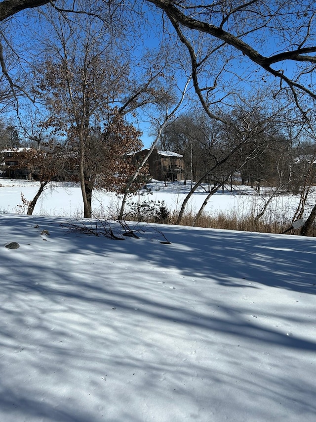 view of snowy yard