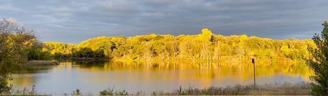 water view featuring a forest view