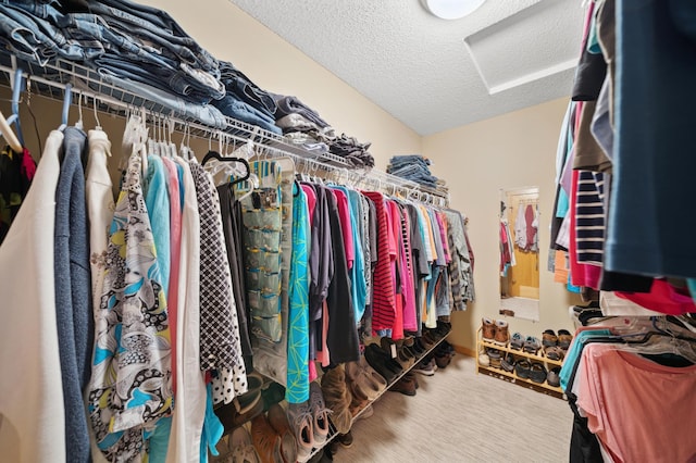 walk in closet with carpet flooring