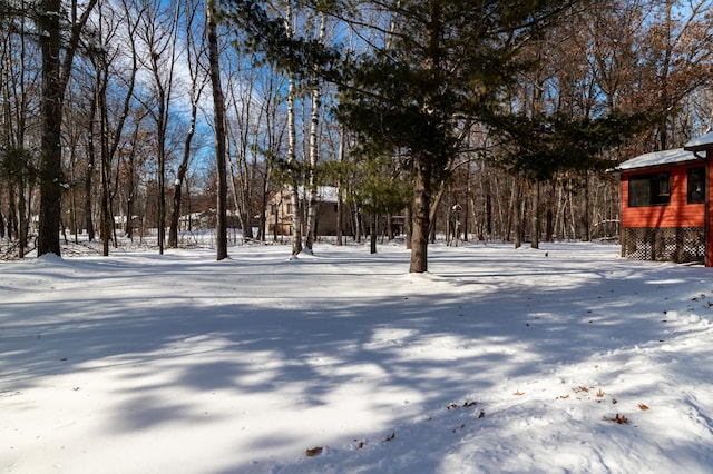 view of yard covered in snow