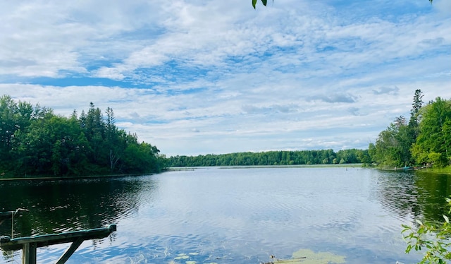 property view of water