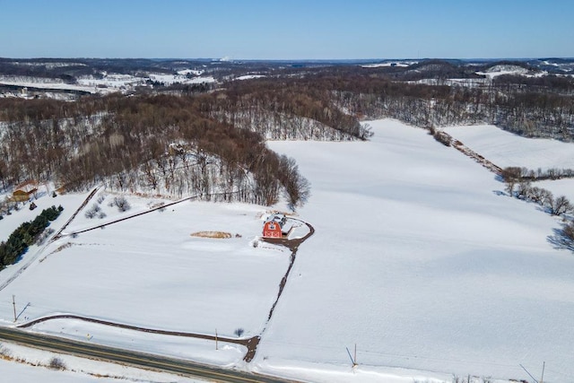 view of snowy aerial view