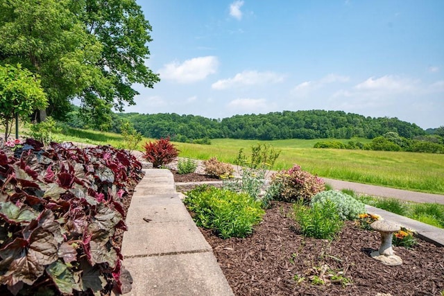 N7900 County Road J, Sherman Twp, WI 54751 - view of yard with a view of trees