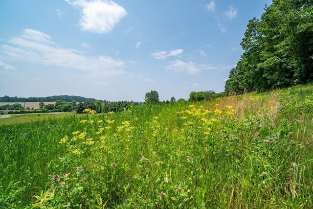 N7900 County Road J, Sherman Twp, WI 54751 - view of undeveloped land with rural landscape