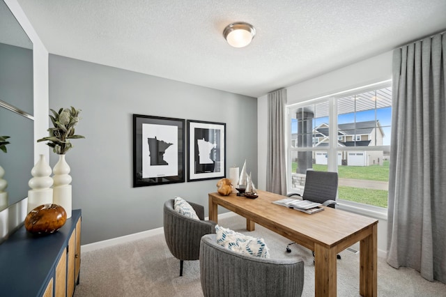 office with light colored carpet, a textured ceiling, and baseboards