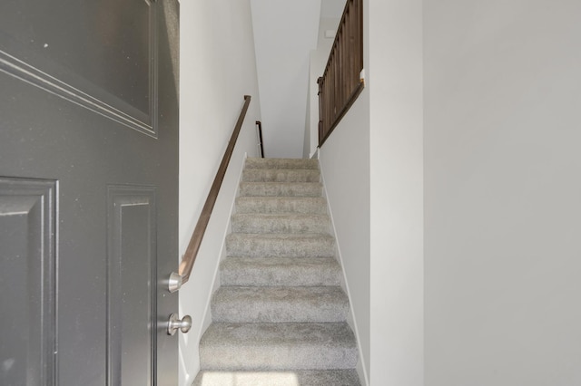 stairway with carpet floors