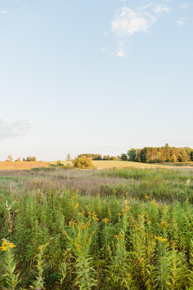 view of landscape featuring a rural view