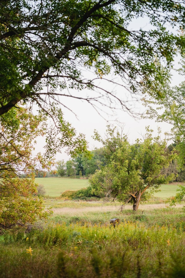 view of nature with a rural view