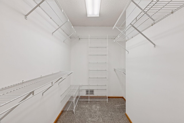 spacious closet with carpet flooring