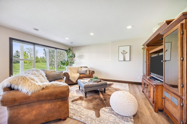 4680 Spruce Way, Medina, MN 55359 - living area featuring light wood-style flooring, baseboards, recessed lighting, and a textured ceiling
