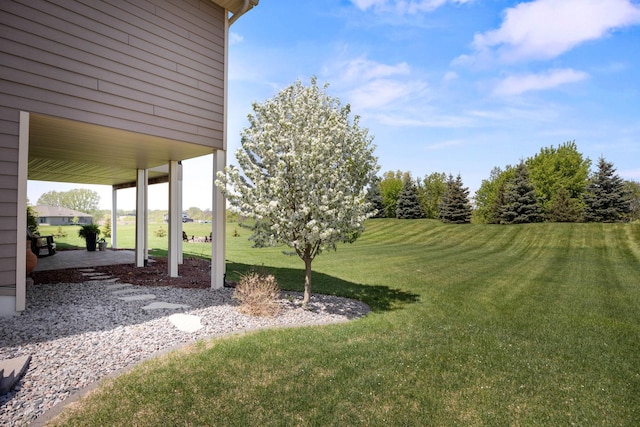 4680 Spruce Way, Medina, MN 55359 - view of green lawn