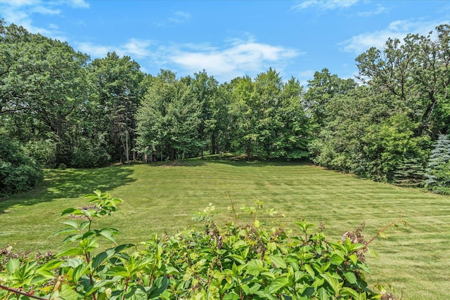 6388 Jasmine Ave N, Stillwater, MN 55082 - view of grassy yard featuring a wooded view