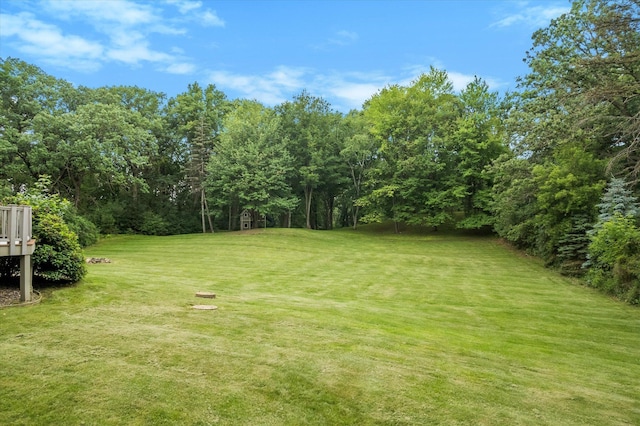 6388 Jasmine Ave N, Stillwater, MN 55082 - view of green lawn
