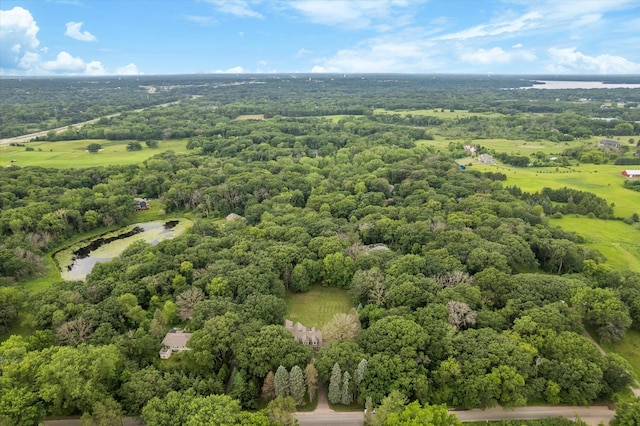 6388 Jasmine Ave N, Stillwater, MN 55082 - aerial view of a heavily wooded area and a nearby body of water