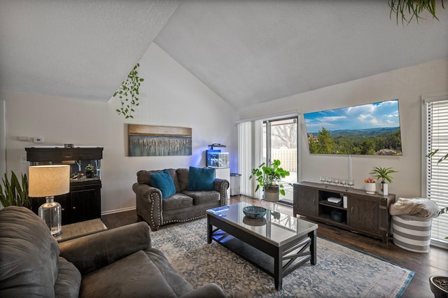 living area featuring dark wood-style floors and high vaulted ceiling